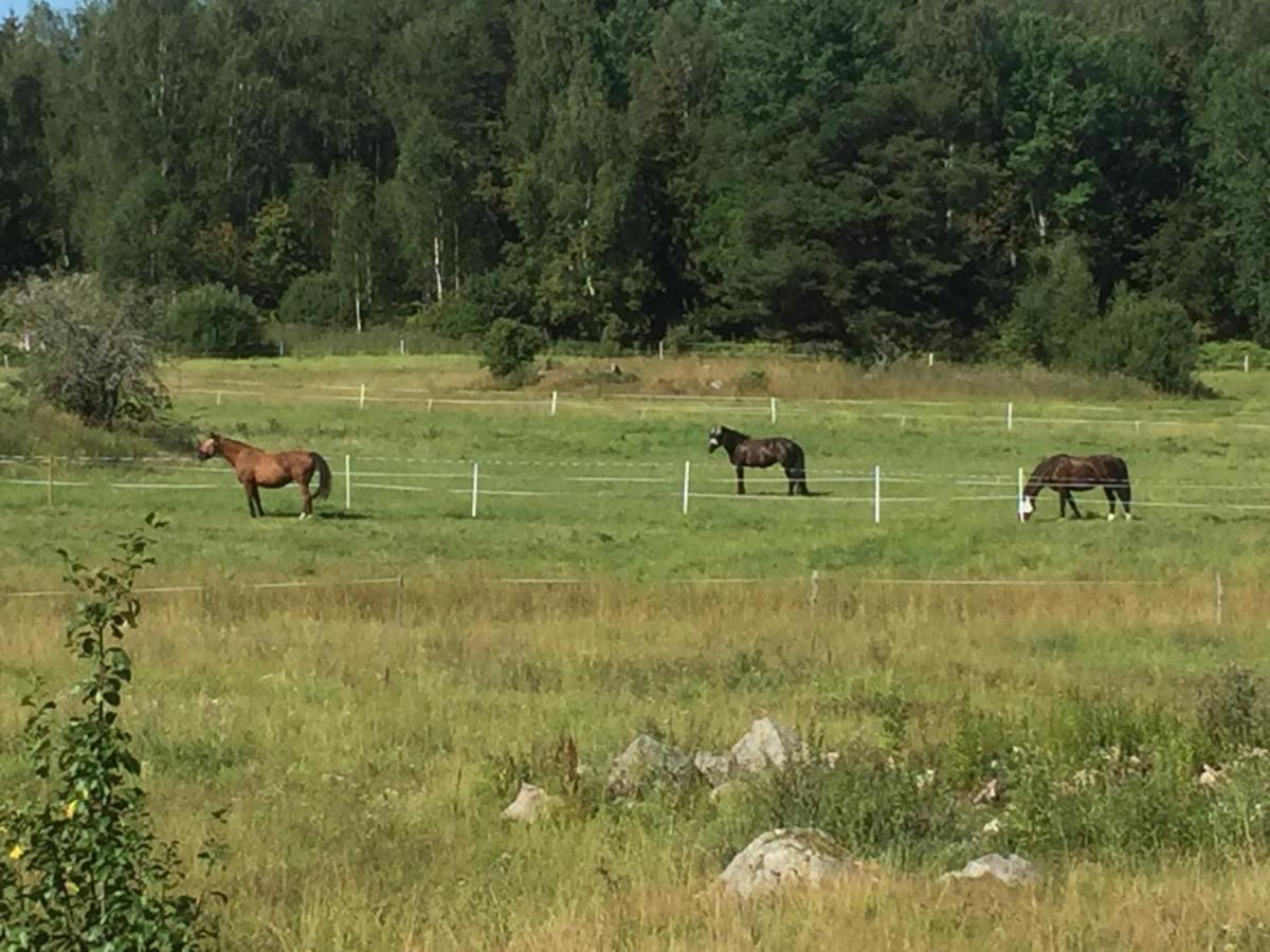 Villa Egen Laegenhet I 2-Familjshus Pa Landet. Tierp Exterior foto